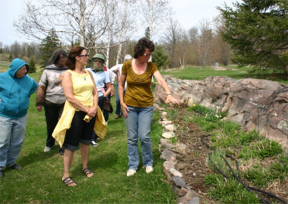 Celia shows us the various perennials in her garden
